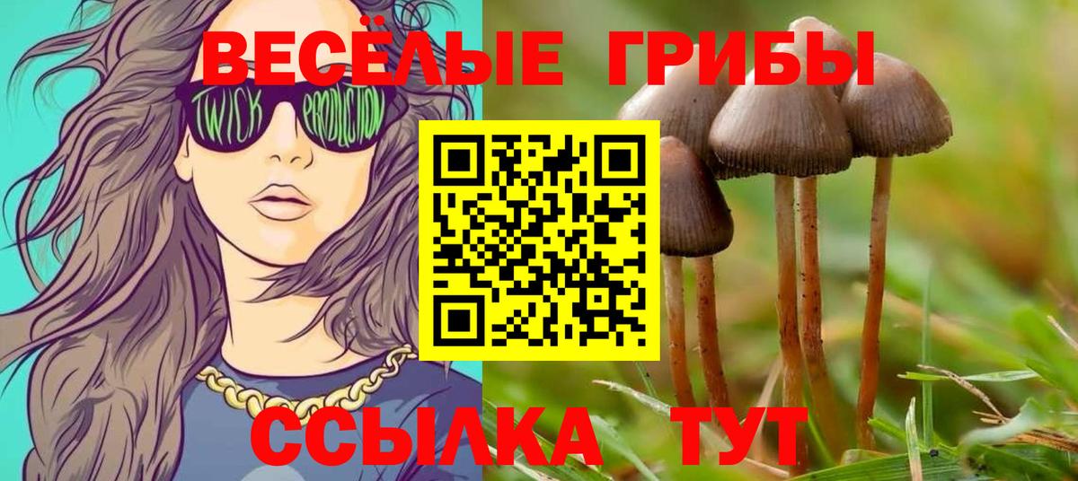 Псилоцибиновые грибы Psilocybine cubensis  Вход с VPN  Луховицы 