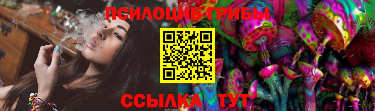 Псилоцибиновые грибы Psilocybine cubensis Луховицы